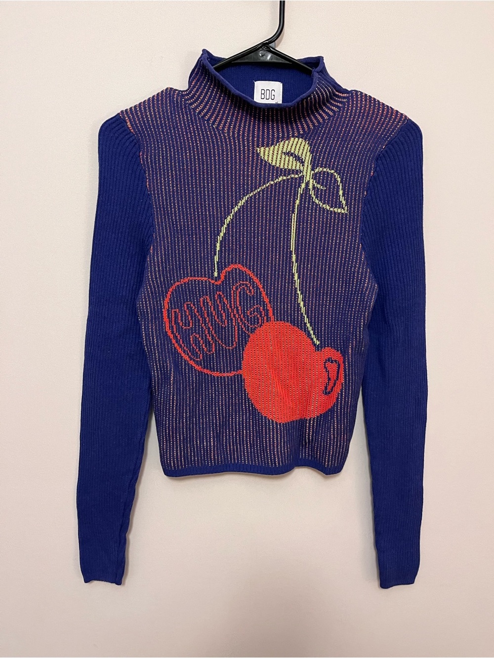 BDG Blue Cherry-Graphic Ribbed Turtleneck Sweater